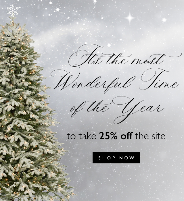 Enjoy 25% off the site